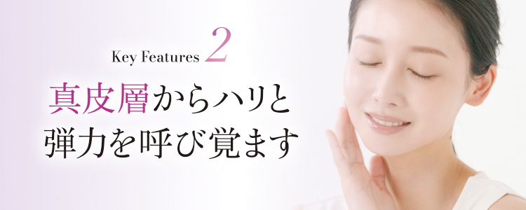 アマルフィピール_特長_02