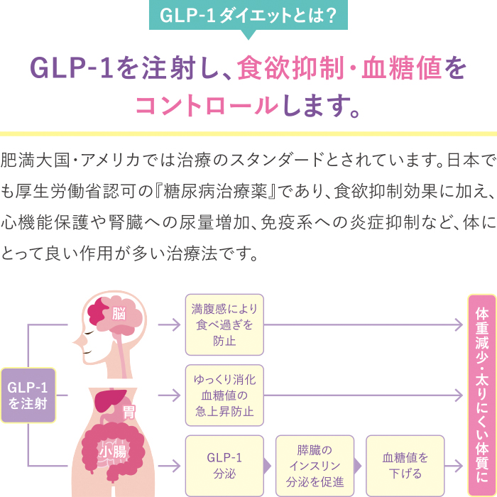 GLP-1ダイエットの説明02