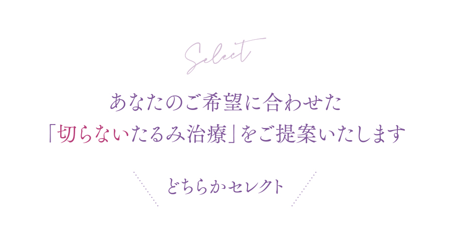 どちらかセレクト