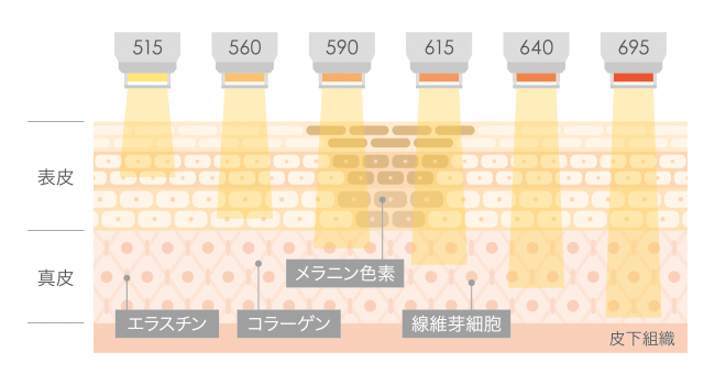 m22の説明図