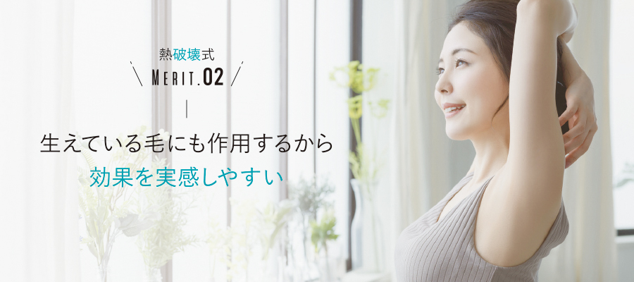 熱破壊式_メリット02