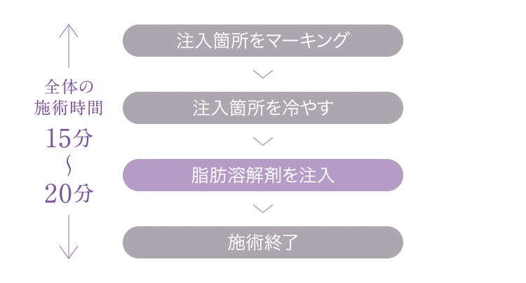 脂肪溶解注射施術の流れ